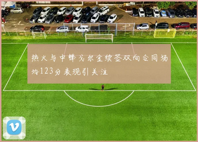 热火与中锋戈尔金续签双向合同场均123分表现引关注