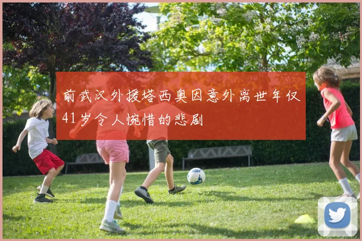 前武汉外援塔西奥因意外离世年仅41岁令人惋惜的悲剧
